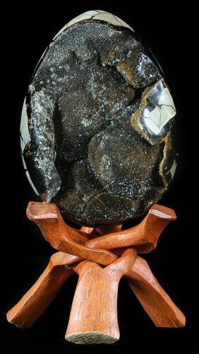 Septarian Dragon Egg Geode - Black Crystals #55491